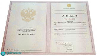 Диплом техникума-колледжа 2004-2006 года Диплом техникума-колледжа 2004-2006 года
